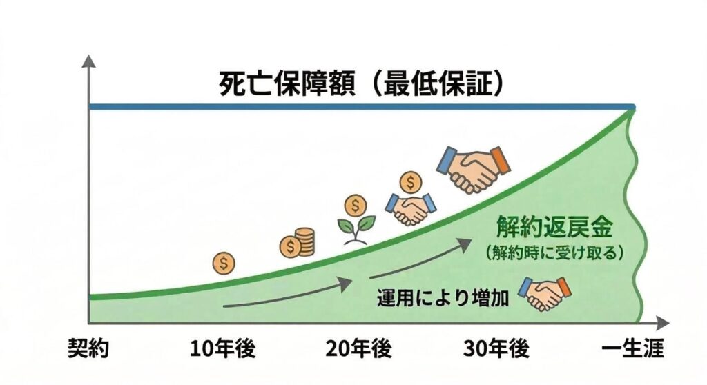 図解：外貨建て保険の主要3タイプと特徴【終身型】のグラフ。（一生涯続く死亡保障と、時間の経過とともに増える解約返戻金を示すイメージ図）