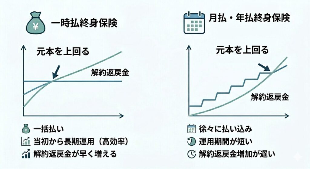 図解:一時払い終身保険の解約返戻金の図解。支払った保険料を保険会社が一括して運用に回すため、月払いと比較して運用効率が高くなりやすく、解約返戻金が元本を上回るのが早いことを表したイメージ図。