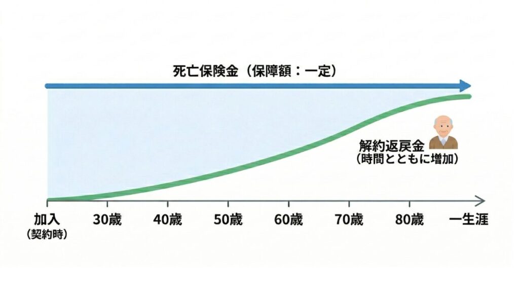【図解：終身保険の保障イメージ】 （一生涯続く保障と、時間の経過とともに積み上がる解約返戻金の推移図）