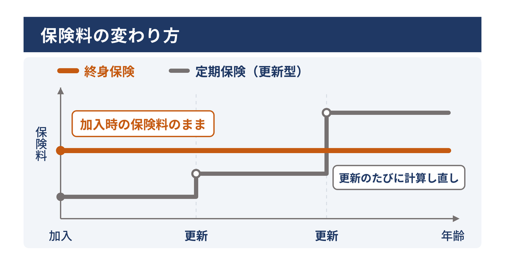 保険料の変わり方。終身保険は更新がなく加入時の保険料のまま、定期保険(更新型)は更新のたびに保険料が計算し直されるイメージ