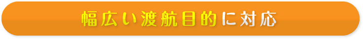 幅広い渡航目的(世界一周保険、海外長期滞在保険、留学保険、ワーホリ保険、インターン保険、長期旅行保険などに対応