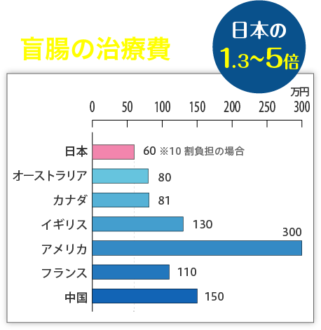 各国の医療費の差 例1 盲腸の治療費は国により日本の1.3〜5倍かかる